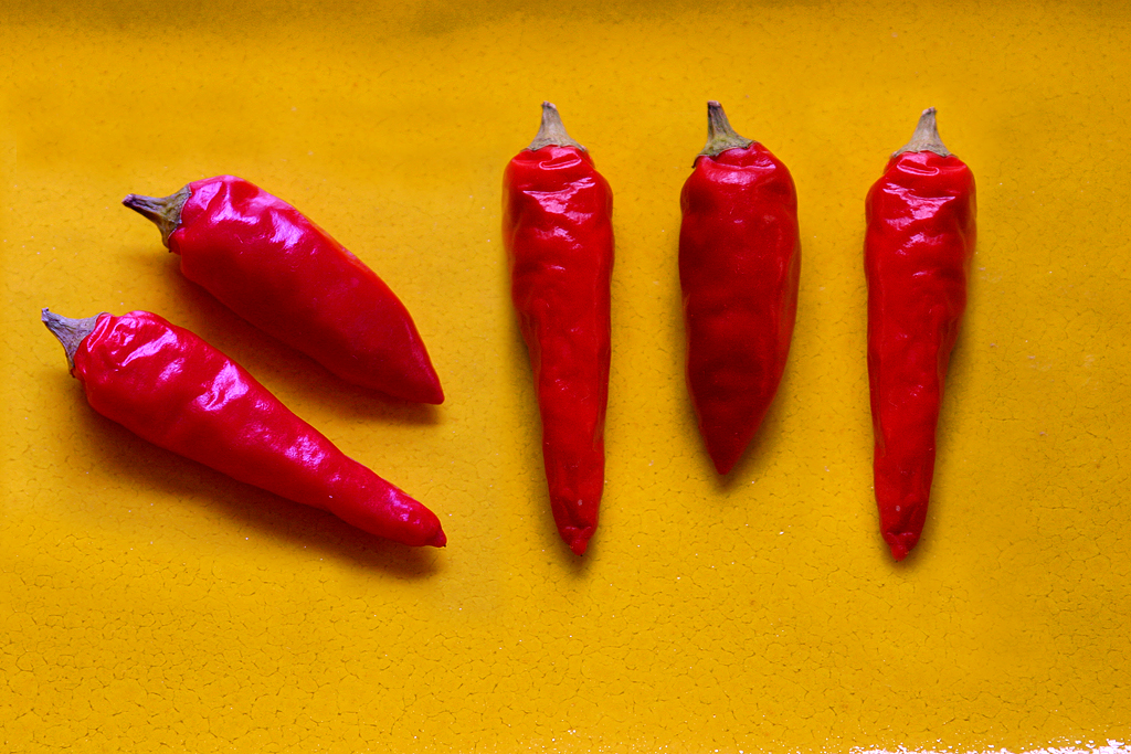 50205631_9fe31fa184_o